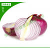 厂家热销 出口级洋葱 蔬菜 绿色食品 欢迎选购【图】