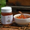 甄情蜜语野生蜂蜜 深山土蜂蜜 百花蜜 500g枸杞蜂蜜 一件代发蜂蜜