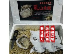 【100斤】蚝公子批发水产乳山鲜活生蚝 威海海鲜水产 海蛎子 牡蛎
