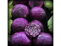 优质紫甘蓝（苞菜）+新鲜蔬菜