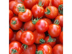 红圣女果 红色小番茄小西红柿 水果批发新鲜蔬菜产地直供