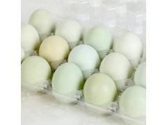 态聚山鸡蛋绿壳 2019年新产品鸡蛋 商家直销 量大从优