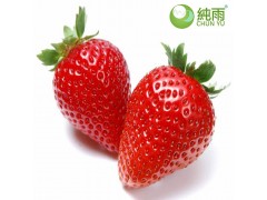 德昌纯雨草莓1250g 露天种植 现采现摘 *** 无污染草莓