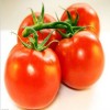 供应新绛优质西红柿
