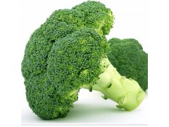 供应西兰花绿色无污染新鲜蔬菜