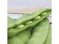 宽豆角油豆角新鲜现摘农家自种特产美食现摘现卖美味可口包邮5斤
