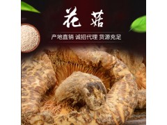 尼江源野生花菇干货农产品香菇甘南土特产野生菌蘑菇批发250g/盒