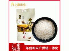 厂家蟹田大米 家庭装袋装新米 珍珠米10斤袋装大米批发珍珠米