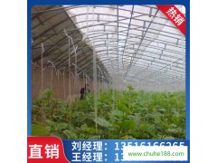 春秋保温养殖大棚 芹菜种植温室 植物种植棚 大棚温室施工