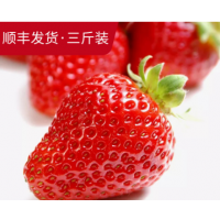 草莓红颜草莓2斤尝鲜价水果丹东久久奶油草莓现摘批发丹东草莓