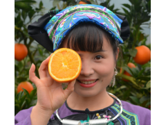 湖南保靖黄金橙酸甜爆汁橙子5斤时令新鲜应季水果夏橙顺丰包邮