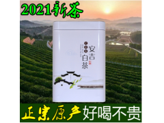 安吉白茶2021新茶茶叶绿茶明前溪龙高山春茶散装200g