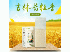 特产新米批发稻花香大米吉林长粒香米1kg小礼盒2斤长粒香大米