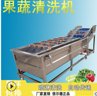 厂家直供自动喷淋式蔬菜清洗机 工业气泡洗菜机商用果蔬清洗设备