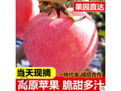 【一件代发】冰糖心 山西红富士苹果 新鲜水果10斤 产地货源