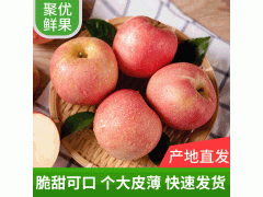 批发汁多皮薄红富士苹果脆甜可口3斤5斤10斤大沙河苹果新鲜水果