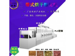 山东瑞晨 荞麦杂粮低温烘焙熟化机 24KW五谷杂粮微波焙烤杀虫设备