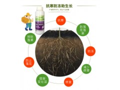 康朴保真生根剂 根多多 叶面肥含氨基酸水溶肥黄叶变绿生根粉25克